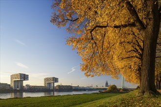 View from Poller Wiesen across the Rhine to Kranhauser