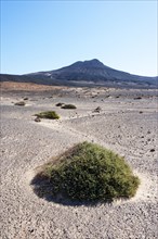 Desert landscape with a view of volcano Las Talahijas