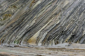 Flysch