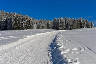 Ski trail of cross country ski track Trans-Jura Swiss