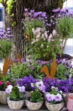 Floral arrangement with Easter decoration