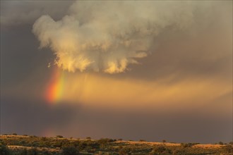 Evening thunderstorm with Cumulonimbus cloud and rainbow above a sand dune