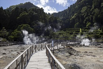 Wooden footbridge through fumaroles
