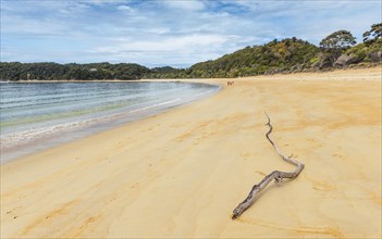 Anchorage Bay Beach