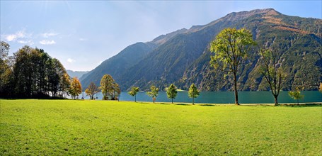 Green meadow with Lake Achensee and autumn-coloured deciduous trees