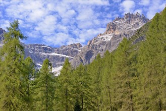 View from the Fischleintal with the larch forest to the Dreischusterspitze 3152 m