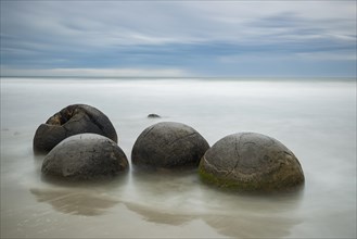 Moeraki Boulders on the beach