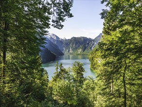 View of the Konigssee