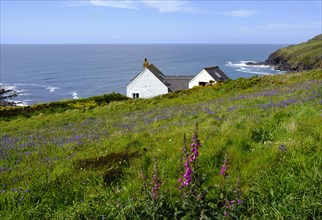 House on cliffs