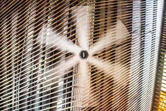 Ceiling fan rotating