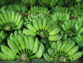 Green bananas at market