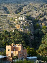 Oasis Al-Hamra with mountain village Misfah Wadi