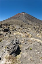 Mount Ngauruhoe