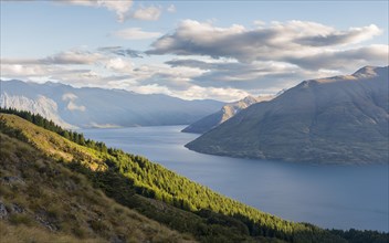 View of Lake Wakatipu