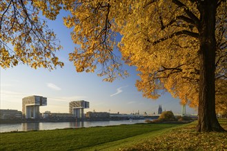 View from Poller Wiesen across the Rhine to Kranhauser