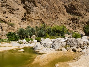 Wadi ash Shab