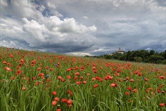 Thunderstorm over monastery Andechs with poppy field and cornflowers