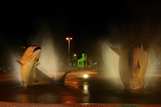 Fish fountain at Praca del Libertade by night