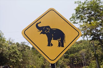 Road sign caution elephants