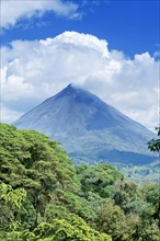 Arenal volcano behind tropical forest