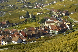 Vineyards in autumn with view of winemaking villages Epesses and Riex