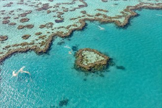 Coral Reef