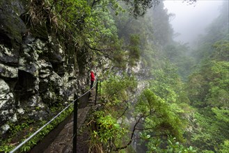 Hikers on narrow footpath along a Levada watercourse