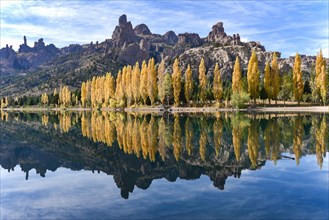 River Limay with poplars in autumn colour at Bariloche