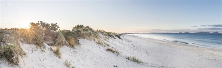 Beach at sunset