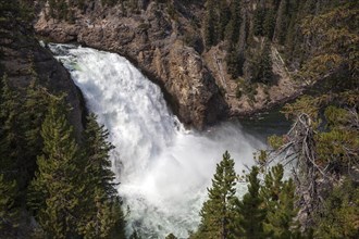 View from the South Rim to the Upper Falls of the Yellowstone River
