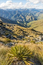 View of mountains