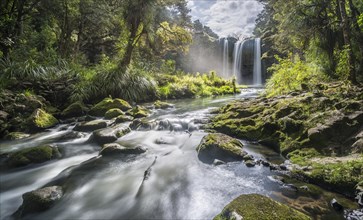 Whangarei Waterfall