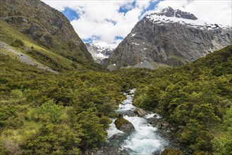 Hollyford River flowing through Fiordland National Park