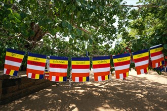International Buddhist flags