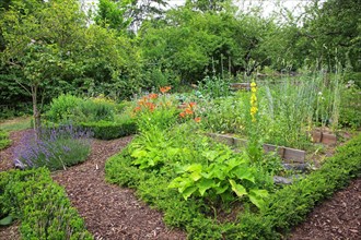 View of a farm garden with paths from barkweed