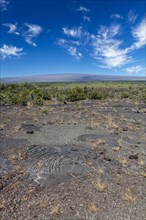 Pahoehoe lava from Kilauea volcano eruptions