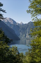 View over the Konigsee from Malerwinkel
