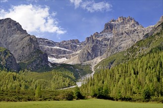 View from Fischleintal to larch forest with Dreischusterspitze 3152 m