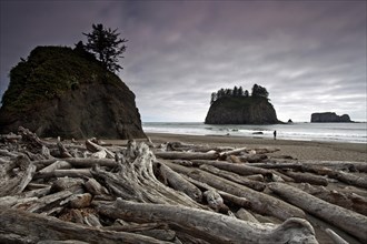 Driftwood and sea stacks at Second Beach
