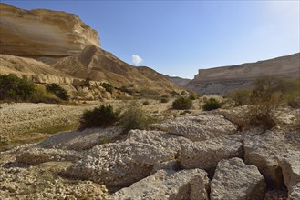 Limestone canyon of Wadi Shuwaymiyah
