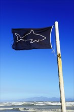 Blue flag with shark