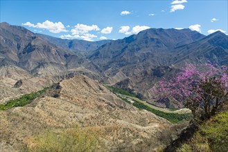 Central Andes