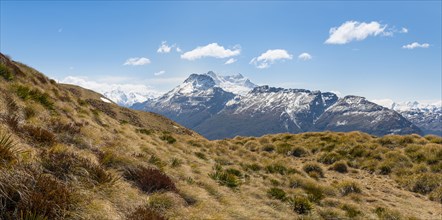 Overlooking Ernslaw Glacier