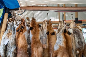Fox furs at a stall