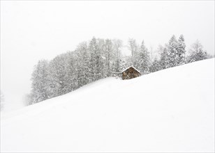 Mountain hut in front of winter forest