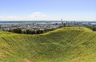 View from Mount Eden