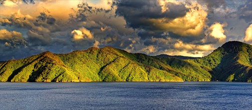 Green overgrown coastal mountains illuminated in the morning light