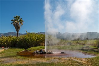 Fountain of the Old Faithfull Geysir