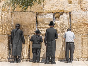 Praying Orthodox Jews at the Wailing Wall