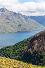 View of Lake Wakatipu